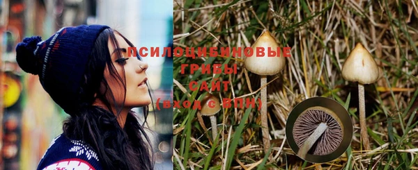 a pvp Белокуриха