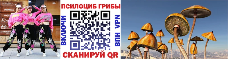 Псилоцибиновые грибы мухоморы  Владивосток 